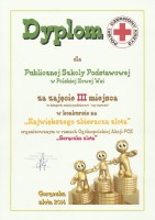 Dyplom PCK 1