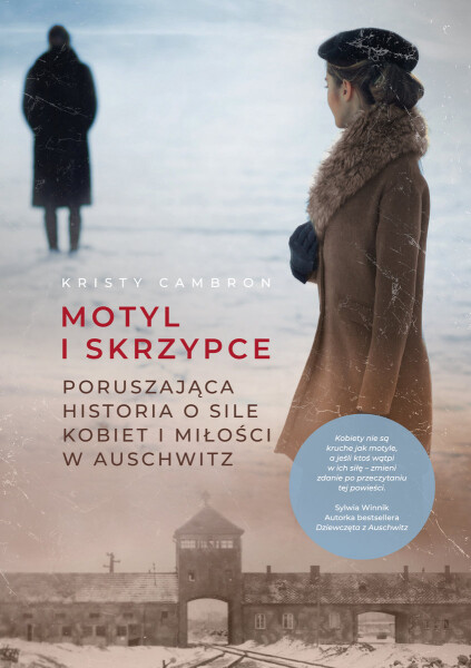 motyl-i-skrzypce-b-iext55536535